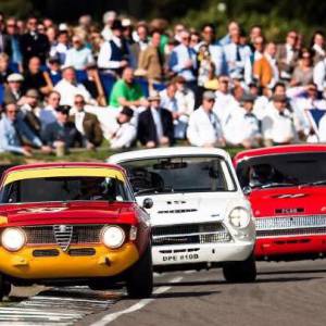 Goodwood Revival 2015: Stippler leading the race